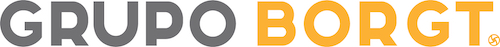 grupo borgt
